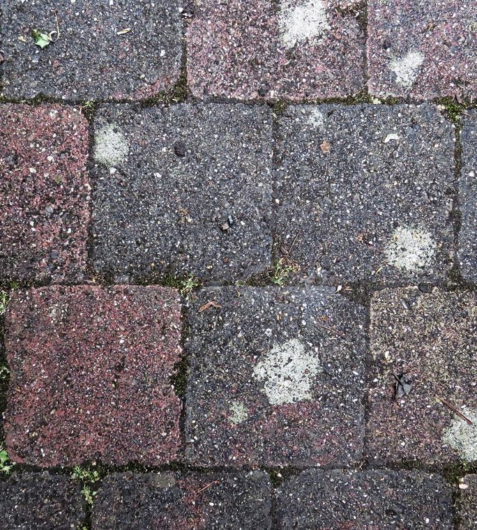 Block paving stained dark, with lichen patches and moss growing through the joints
