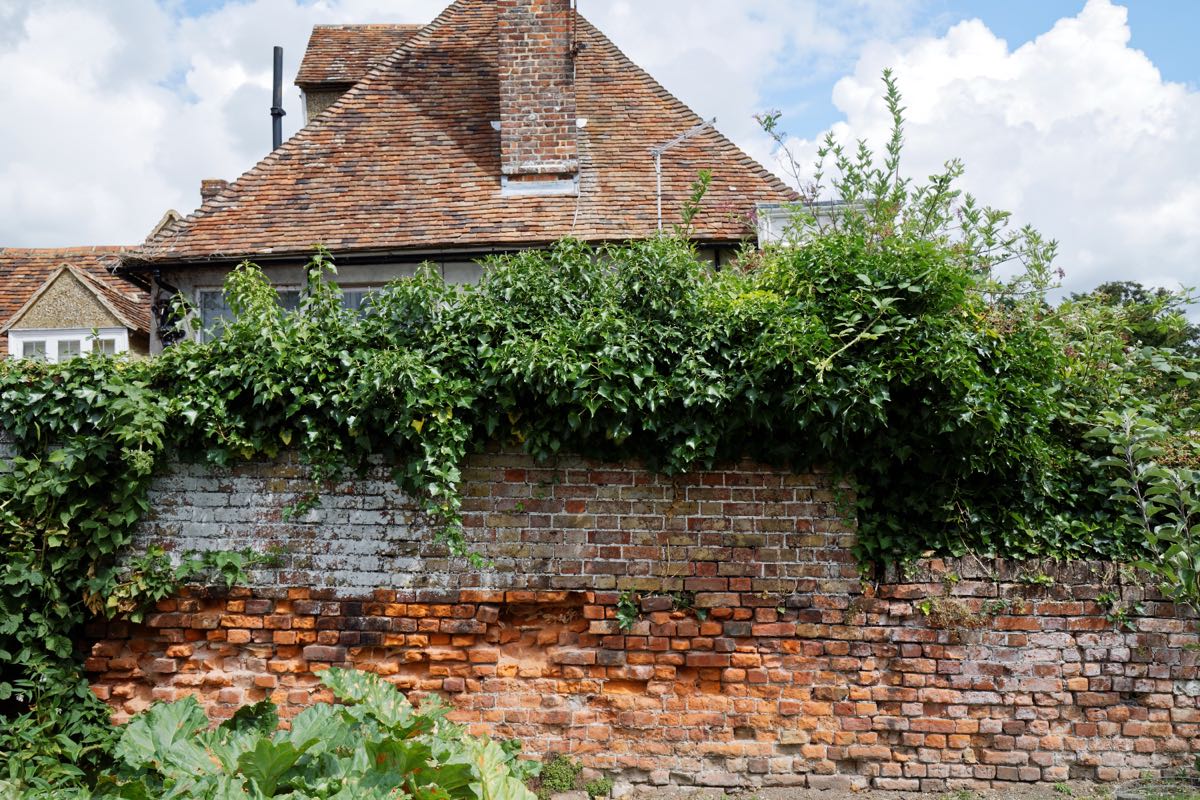 An old brick garden wall topped with ivy, beside a tiled roof